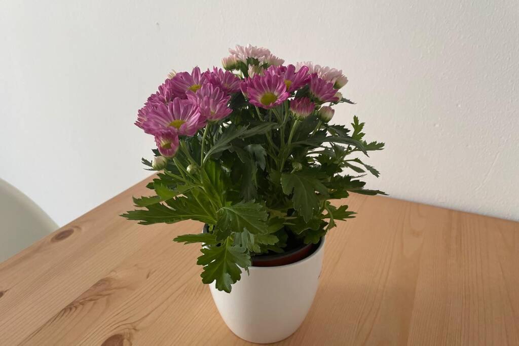 Cosy Studio Near Central Station Apartment Vienna Luaran gambar